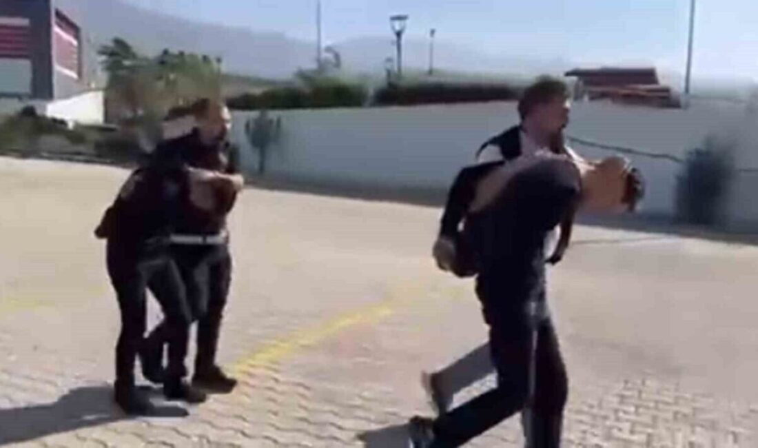 Hatay’ın İskenderun ilçesinde gözaltına alınan hırsızlık ve mala zarar verme