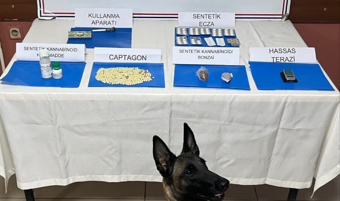 Hatay’ın İskenderun ilçesinde Jandarma Komutanlığınca yapılan uyuşturucu ile mücadele çalışmalarında