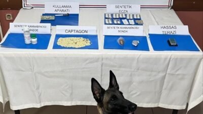 Hatay’ın İskenderun ilçesinde Jandarma Komutanlığınca yapılan uyuşturucu ile mücadele çalışmalarında