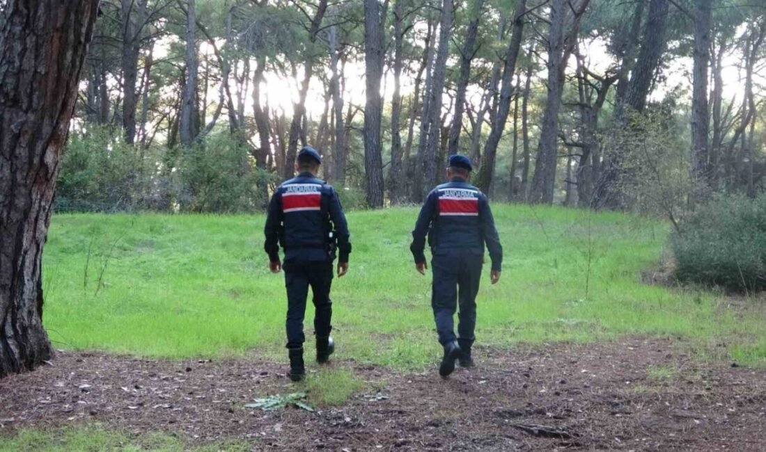 Antalya’nın Manavgat ilçesinde vatandaşların ormanlık alanlara giriş yaparak mangal ve