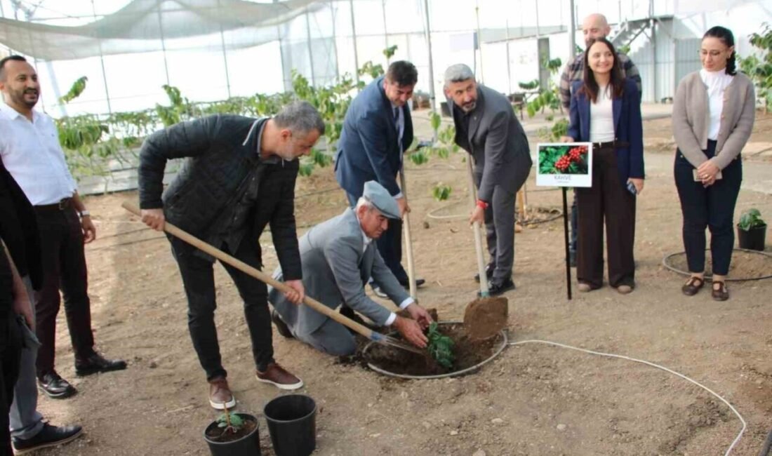 Antalya’nın Kumluca ilçesinde Akdeniz Üniversitesi Kumluca Meslek Yüksekokulu tropikal meyve