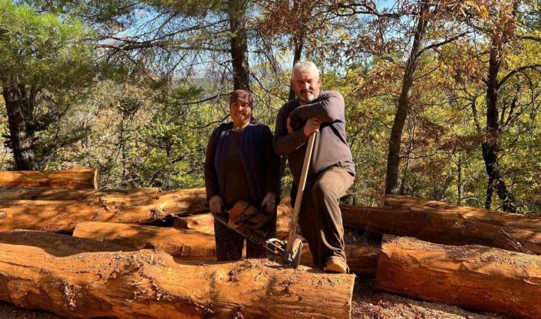 Mersin’den Antalya’ya gelip Toroslar ’da ağaç kesimi yapıyorlar. 40 yıllık