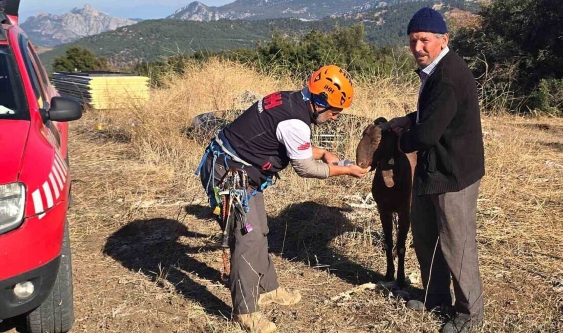 Antalya’nın Korkuteli ilçesinde kaya oyuğunda 3 gündür mahsur kalan keçi,
