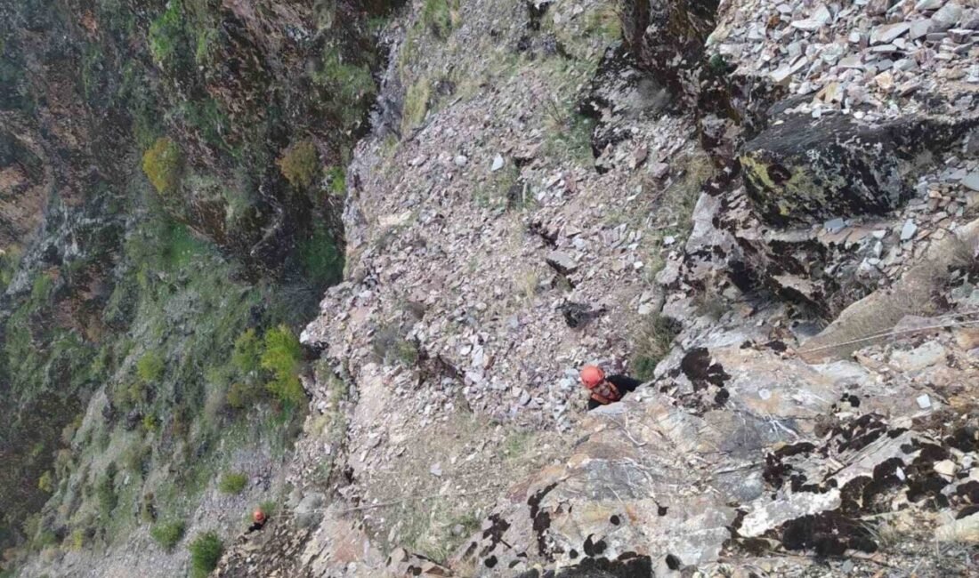 Kahramanmaraş’ta kayalıklarda mahsur kalan 5 keçi kurtarılarak sahibine teslim edildi.