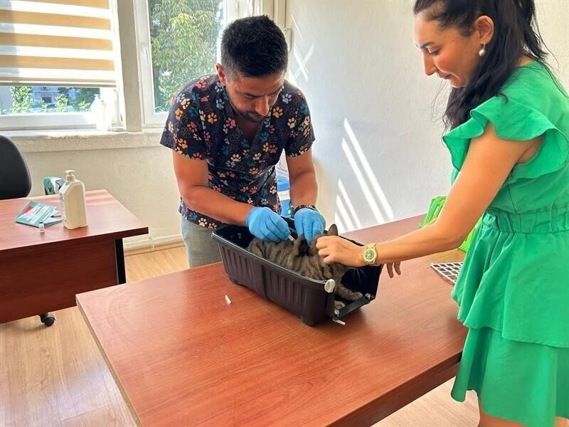 Adana İl Tarım ve Orman Müdürlüğü 5 Mart 2025 tarihinde