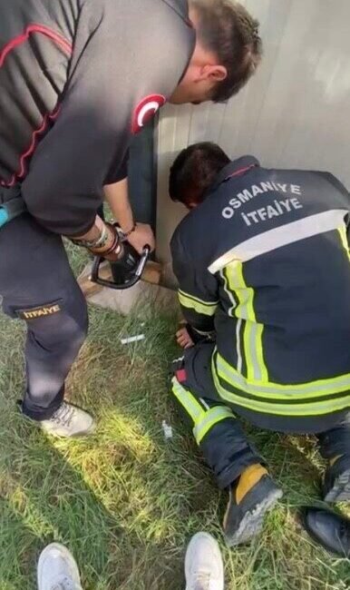 Osmaniye’de konteyner ile duvar arasına sıkışan yavru kedi, itfaiye ekiplerince