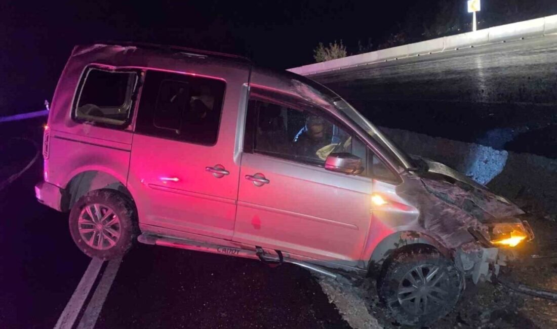 Osmaniye’nin Düziçi ilçesinde yağış nedeniyle kayganlaşan yolda kontrolden çıkan hafif