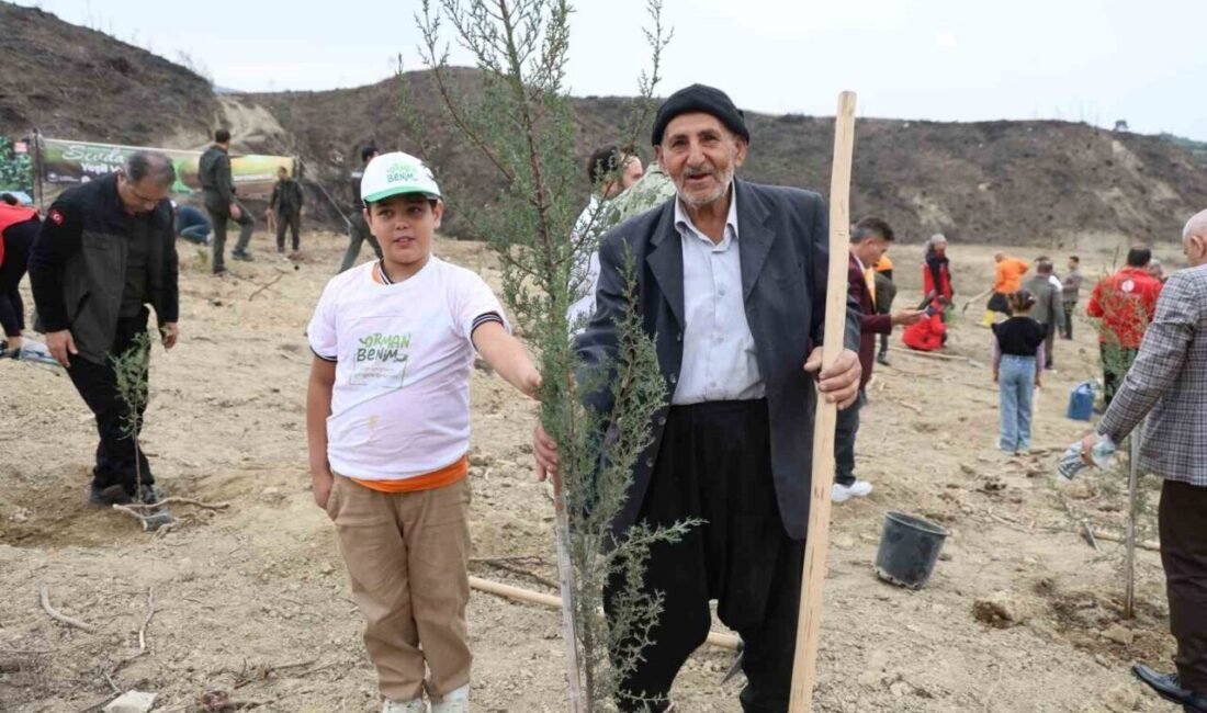 Adana’nın Kozan ilçesinde yanarak zarar gören 79 hektarlık alanda 11