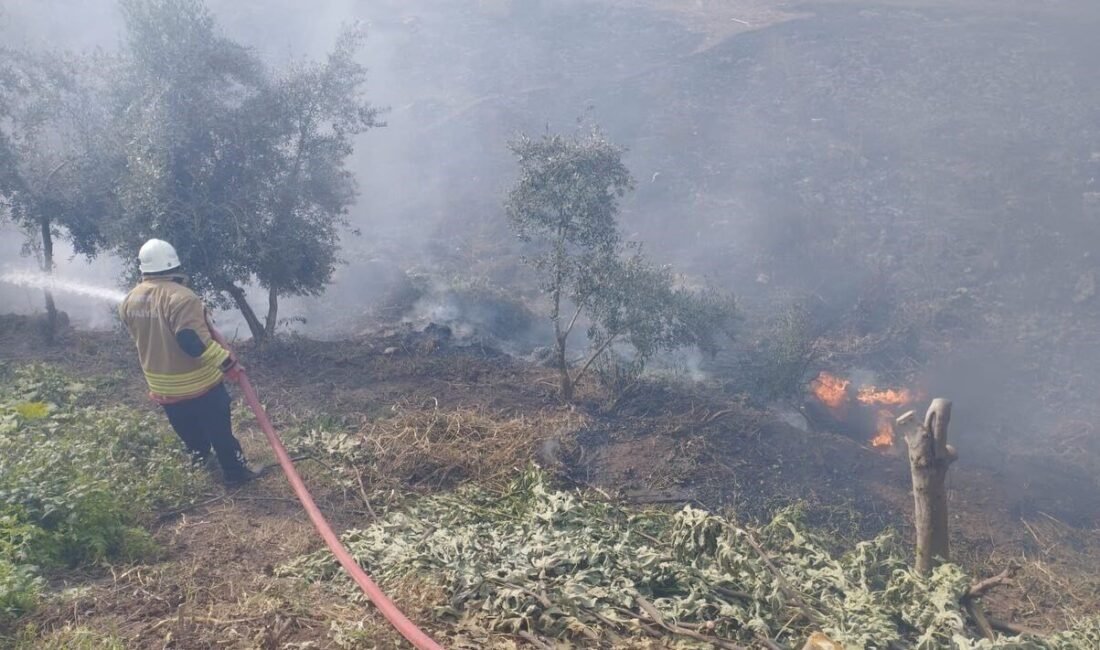 Hatay’da bahçede çıkan yangın, eve sıçramadan söndürüldü. Yangın, Kumlu ilçesi