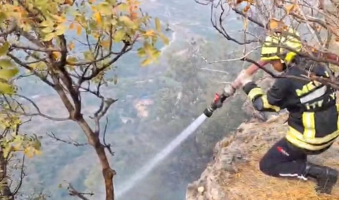 Mersin’in Erdemli ilçesinde makilik alanda çıkan yangın, narenciye bahçelerine sıçramadan