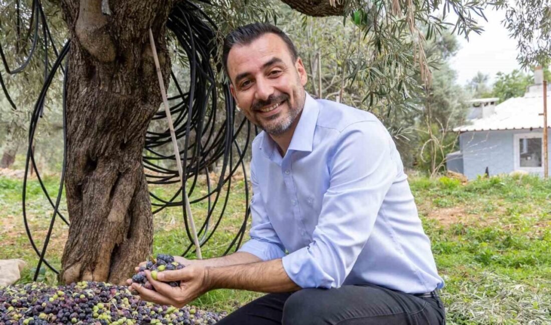 Manavgat Belediyesi tarafından bu yıl ikincisi düzenlenen Zeytin ve Zeytinyağı