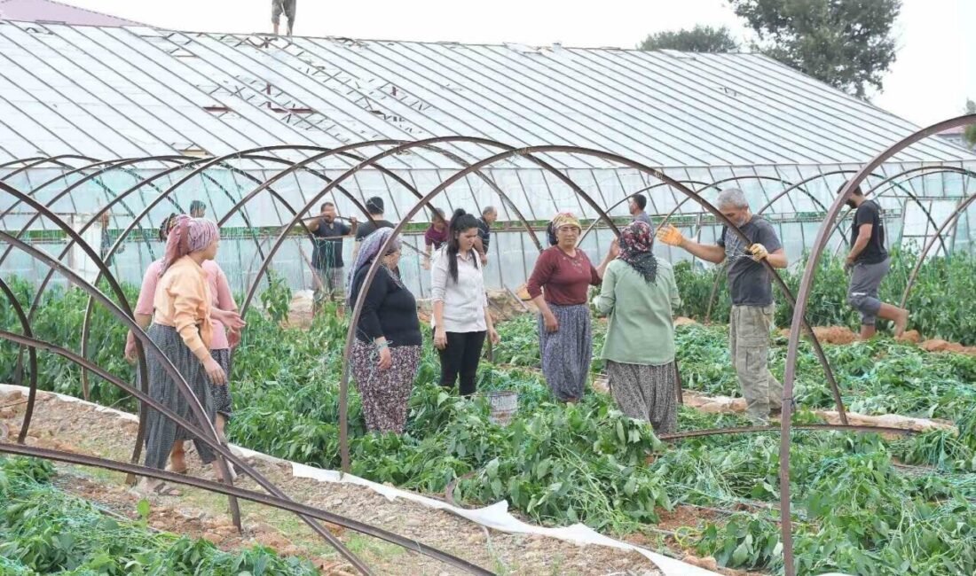 Mersin’in Bozyazı ilçesinde fırtına ve hortum nedeniyle birçok sera zarar