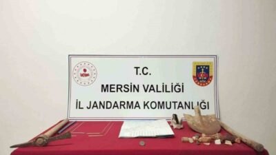 Mersin İl Jandarma Komutanlığı ekipleri, Çamlıyayla ilçesinde kaçak kazı yaptığı
