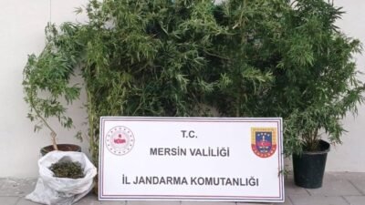 Mersin Erdemli ilçesinde jandarma ekipleri 1 kilo 250 gram esrar
