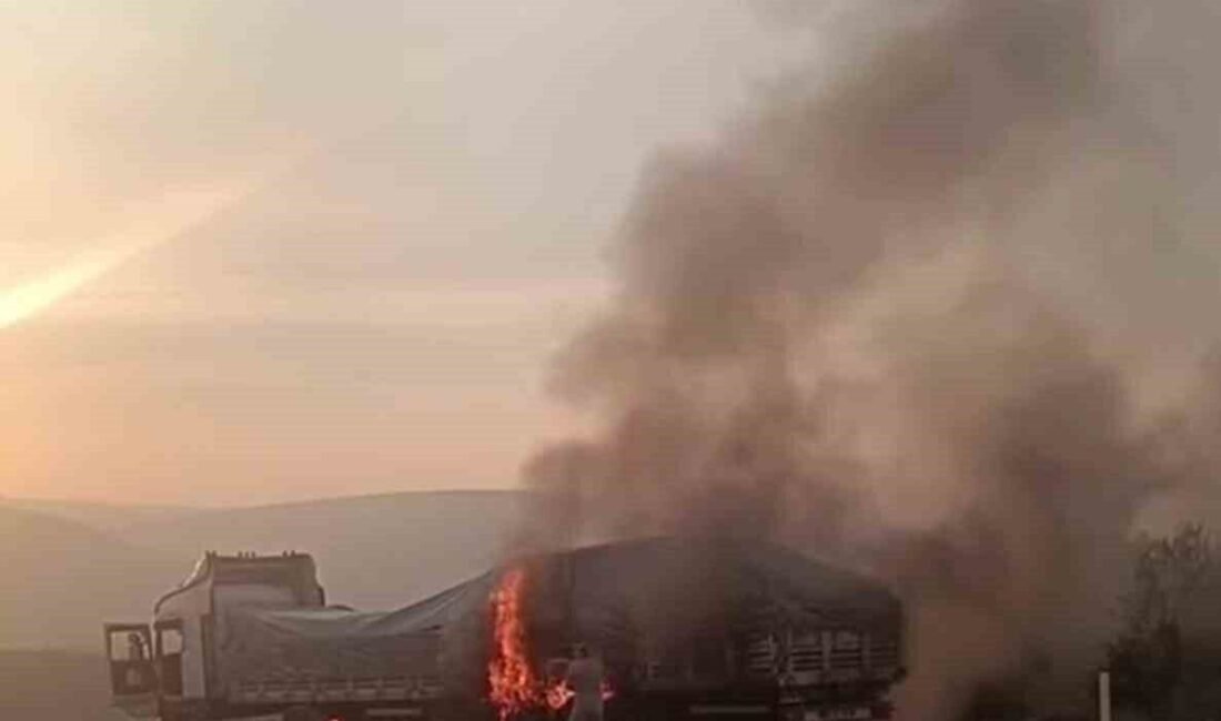 Mersin’in Mut ilçesinde seyir halindeki tırda yangın çıktı. Yangına müdahale