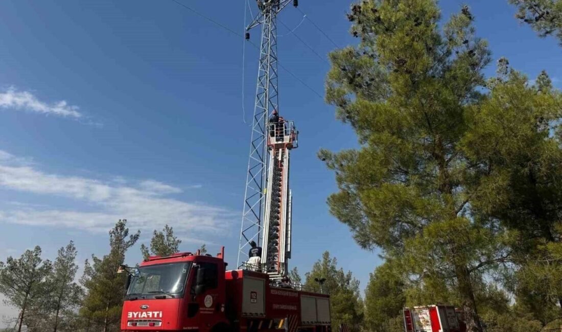 Mersin’de yüksek gerilim hattı çalışması sırasında 25 metre yükseklikteki direkte