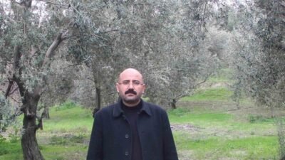 Türkiye’de zeytin ve zeytinyağının yaklaşık yüzde 20’sini karşılayan Mersin’in Mut