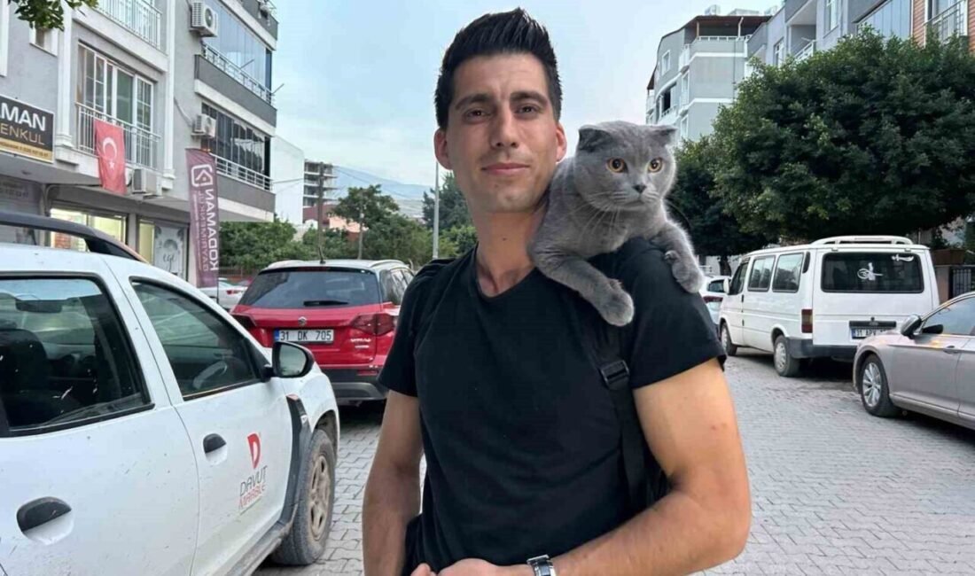 ‘Nasıl kaçmıyor’ diyenler olsa da ‘Duman’ sahibinin omzunda kenti turluyor Hatay’da yaşayan 32 yaşındaki Mustafa Şimşek, omzunda gezdirmeye alıştırdığı kedisi