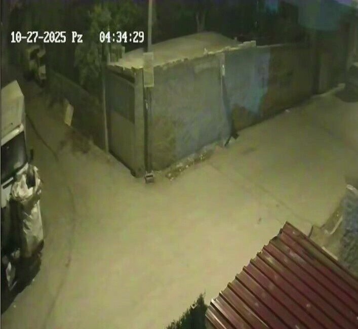 Adana’da park halindeki kamyonetten eşya çalan hırsız anbean güvenlik kameralarına