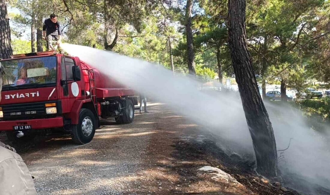 Antalya’nın Manavgat ilçesinde ormanlık alanda çıkan yangın vatandaşların müdahalesi ile