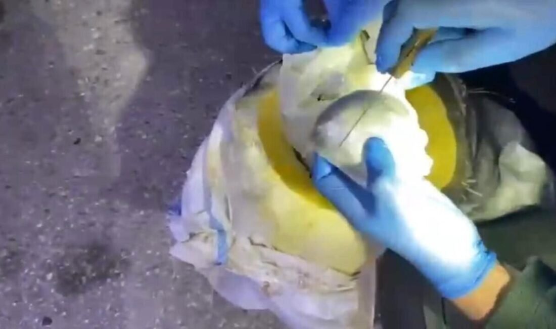 Osmaniye’de şüphe üzerine durdurulan yolcu otobüsünün bagajında bal kabağına gizlenmiş