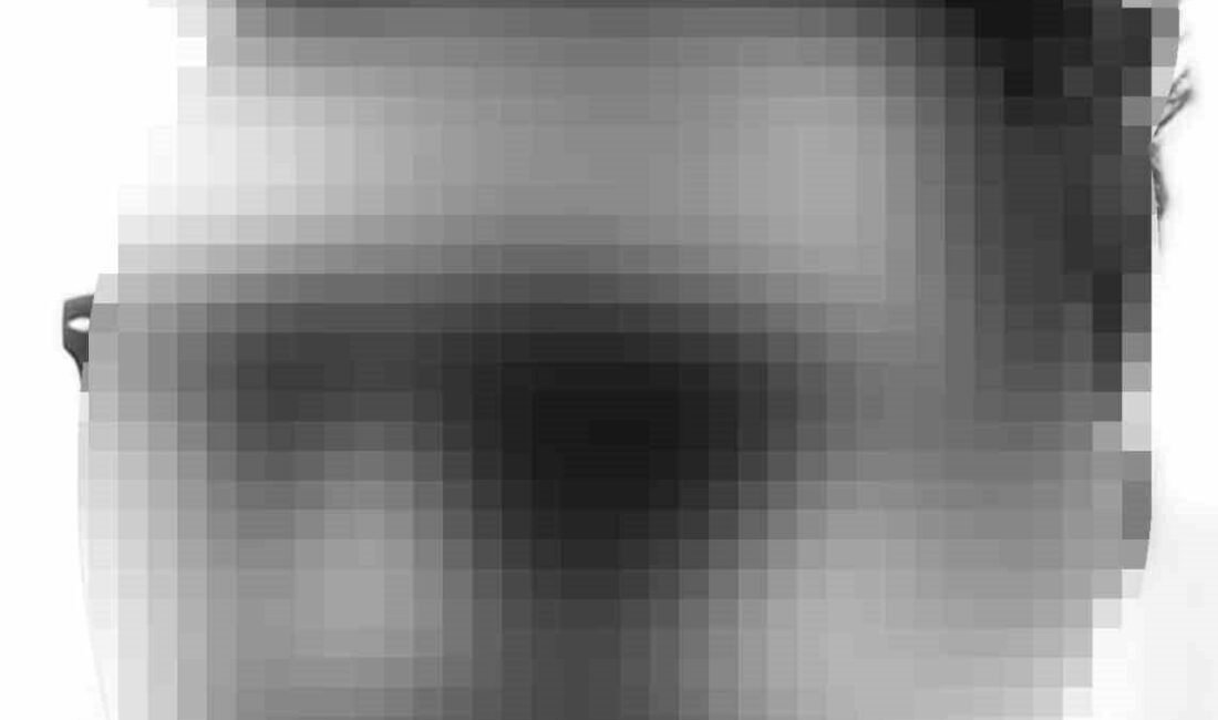 Adana’da özel bir okulda öğretmenin tuvaletlere yerleştirdiği kamera ile diğer