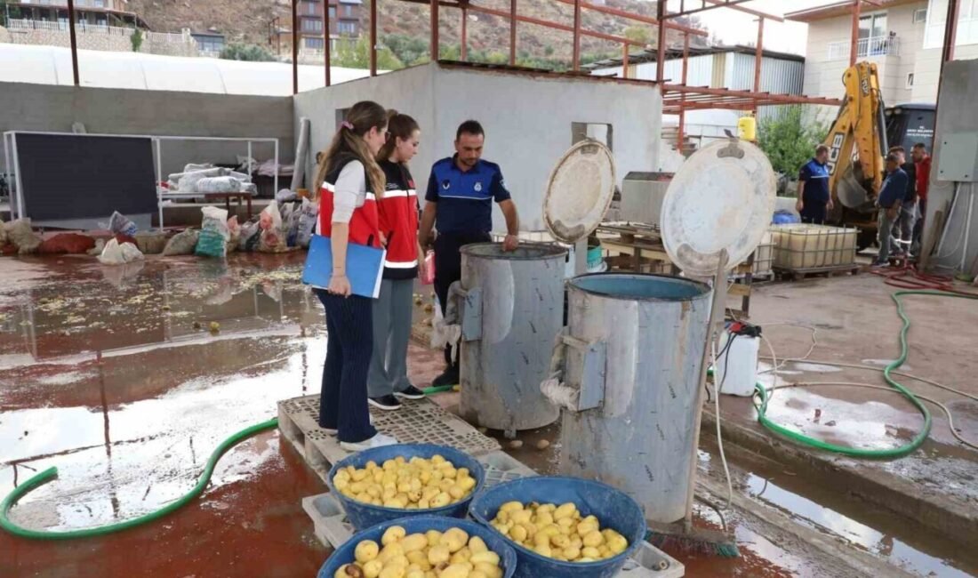 Antalya’nın Aksu ilçesinde bir ihbar üzerine harekete geçen belediye zabıta