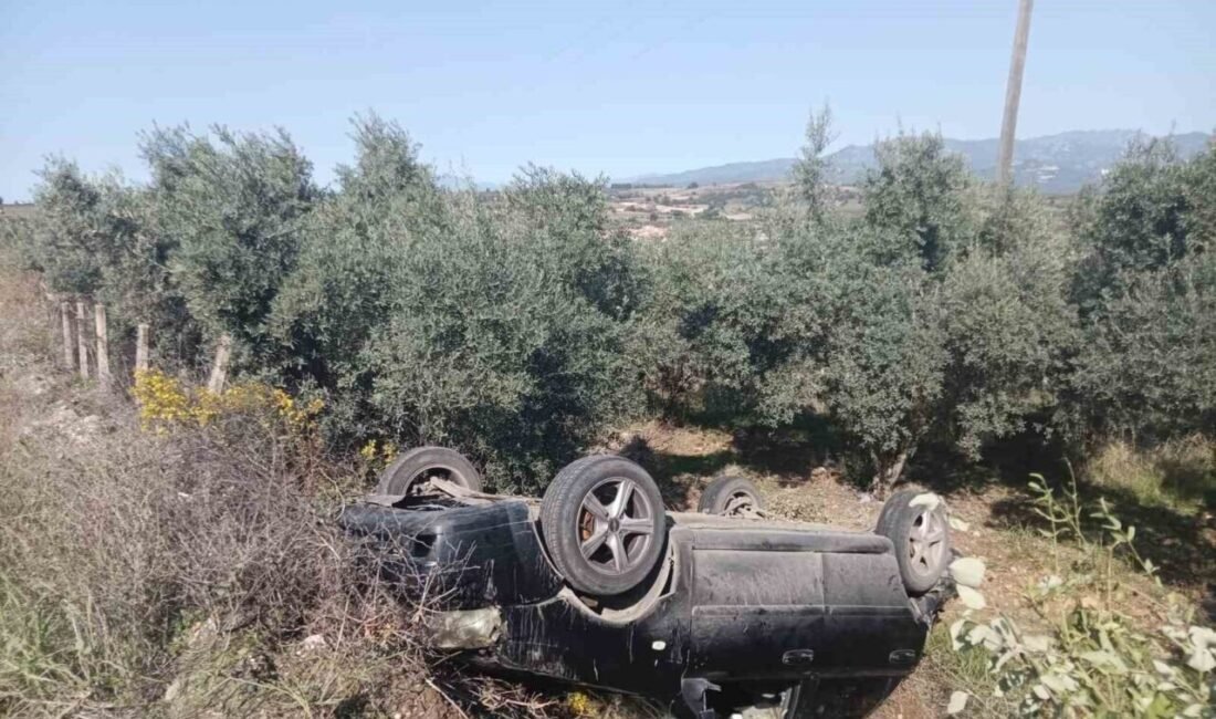 Osmaniye’nin Düziçi ilçesinde otomobilin şarampole yuvarlanması sonucu anne ve 5