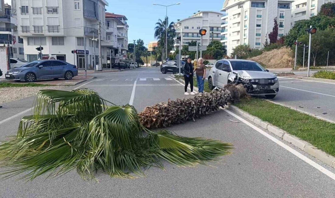 Antalya’nın Manavgat ilçesinde uzun zamandır araç kullanmayan otomobil sürücüsü pratik