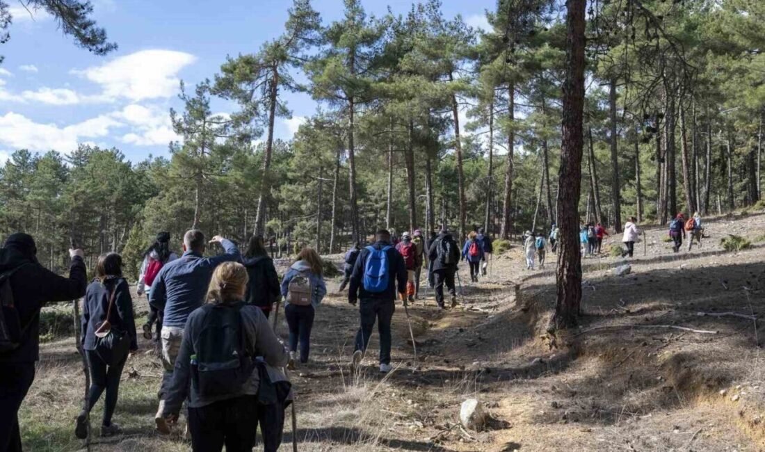 Mersin Büyükşehir Belediyesinin tarihi rotaları gün yüzüne çıkaran ‘Tarihi Kilikya