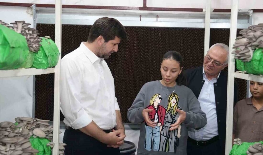 Mersin’de istiridye mantarı üretimine ilgi artarken, Tarsus Belediyesi ile Halk