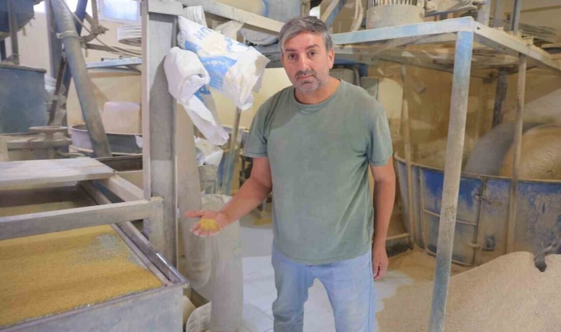 Kahramanmaraş’ta yarım asrı aşkın süredir faaliyet gösteren taş değirmenler, mahalle