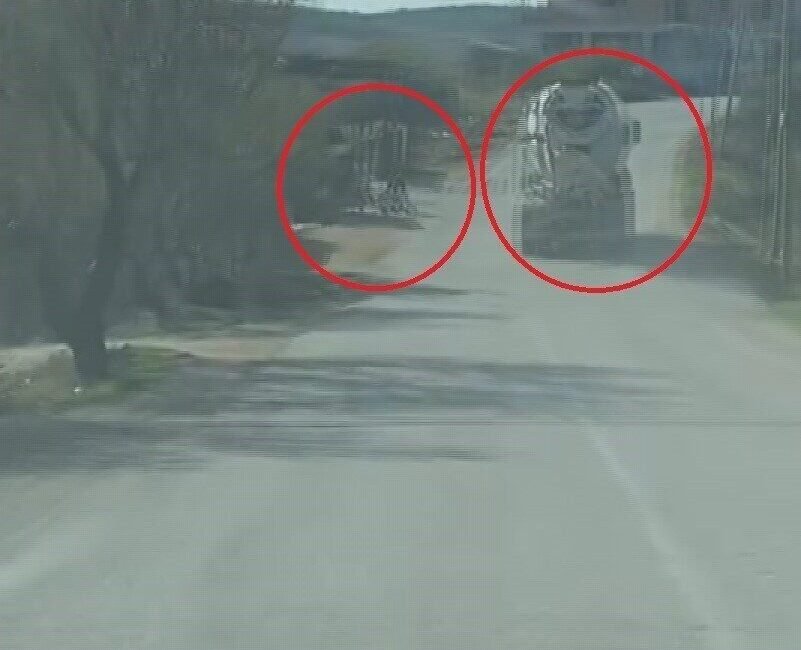 Hatay’ın Altınözü ilçesinde tek şeritli yolda 100 kilometreyi bulan hızıyla