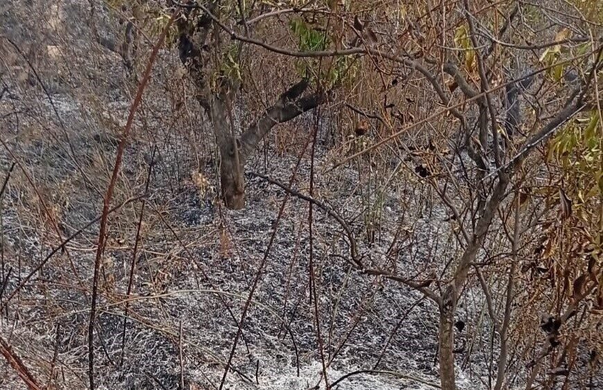Mersin’in Gülnar ilçesinde yaşlı bir adam, çevreyi temizlemek için yaktığı
