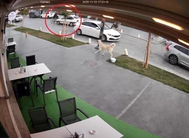 Antalya’nın Konyaaltı ilçesinde yolun karşısına geçmek isteyen bisikletliye otomobil çarptı.