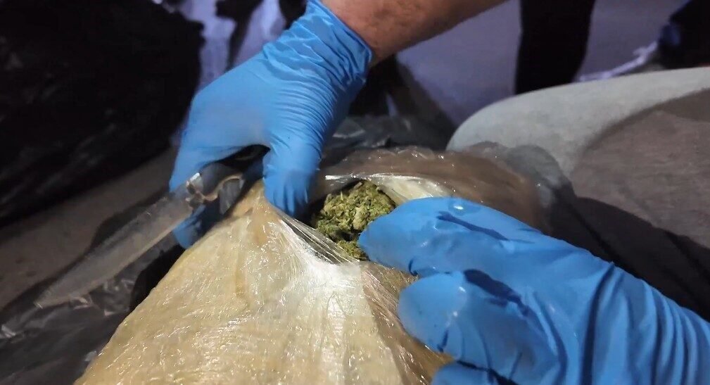 Mersin’e yurt dışından giriş yapan bir tıra düzenlenen operasyonda 223