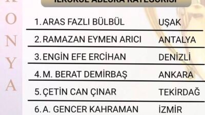 Serikli öğrenci Ramazan Eymen Arıcı, 8. Türkiye Akıl ve Zeka