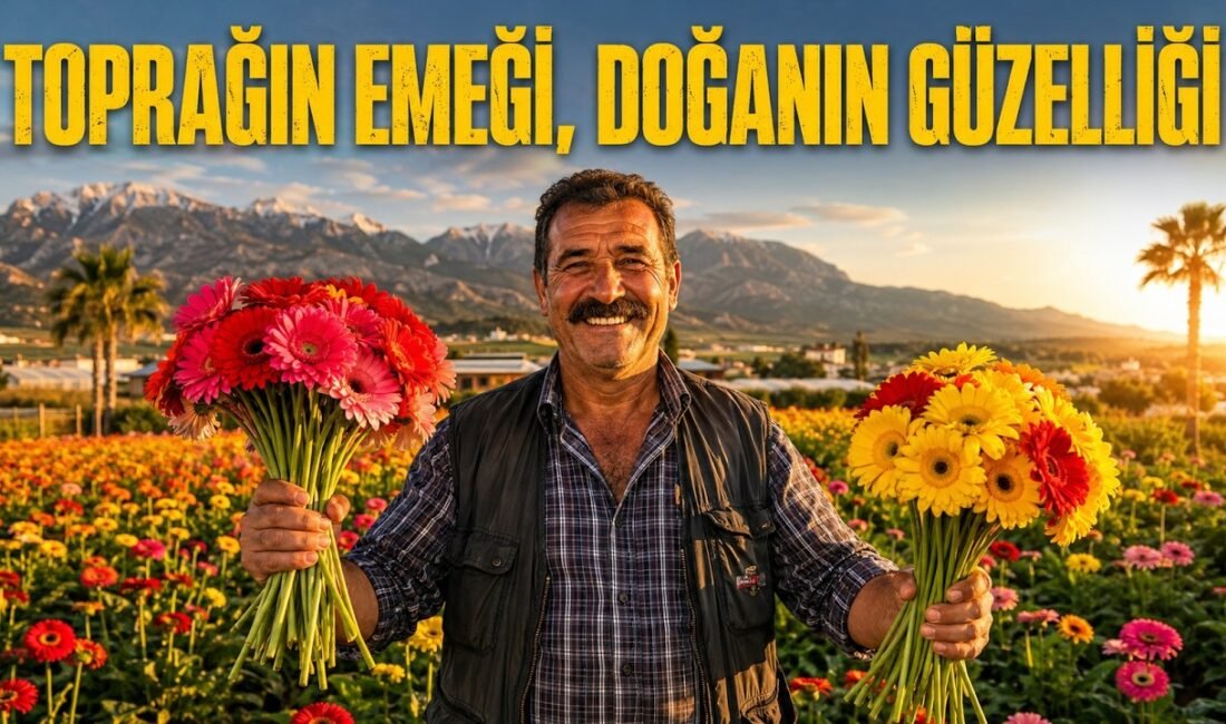 Serik’te 15 yıl biber üretimi yapan çiftçi, tarlasındaki bütün biberleri
