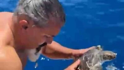 Antalya’nın Alanya ilçesinde denizde bir çuvala dolanarak hareket etmekte güçlük