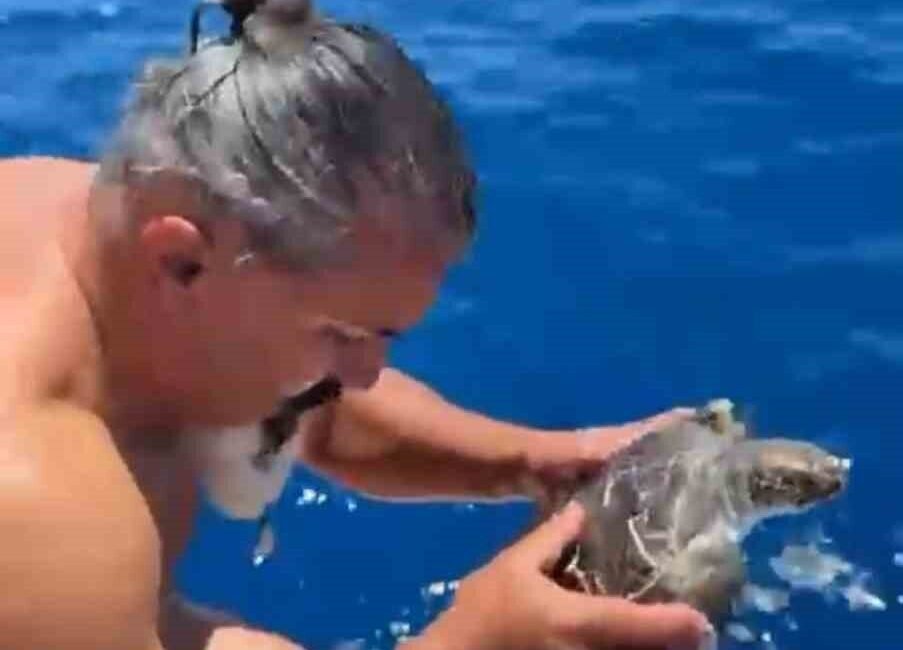 Antalya’nın Alanya ilçesinde denizde bir çuvala dolanarak hareket etmekte güçlük