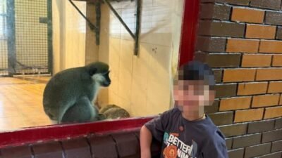 Antalya’nın Alanya ilçesinde bir otelin yetişkin havuzunda boğulma tehlikesi geçiren