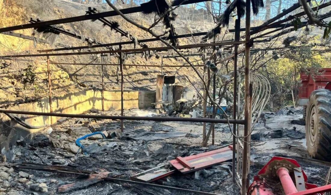 Antalya’nın Alanya ilçesinde gece saatlerinde çıkan orman yangını, rüzgarın etkisiyle