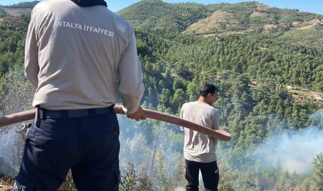 Antalya’nın Alanya ilçesinde dün öğleden sonra çıkan orman yangınına gece