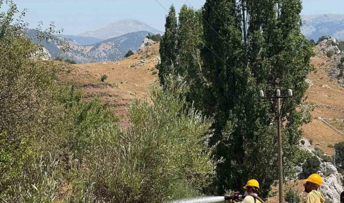 Antalya’nın Alanya ilçesinde otluk alanda çıkan yangın, ekiplerin karadan müdahalesiyle
