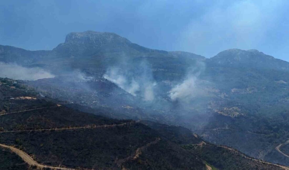 Alanya’daki orman yangınında mücadele ikinci gününde de sürüyor; bölge dron