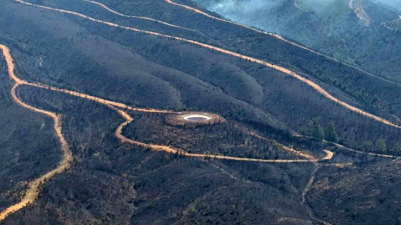 Alanya’daki orman yangınında şu ana kadar 305 dekar alan etkilendi;