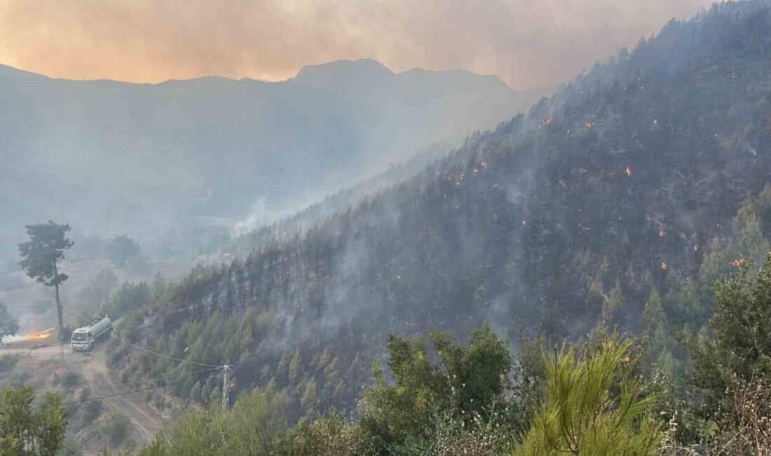 Antalya’nın Alanya ilçesinde çıkan orman yangını rüzgarın etkisiyle büyüyerek yakın