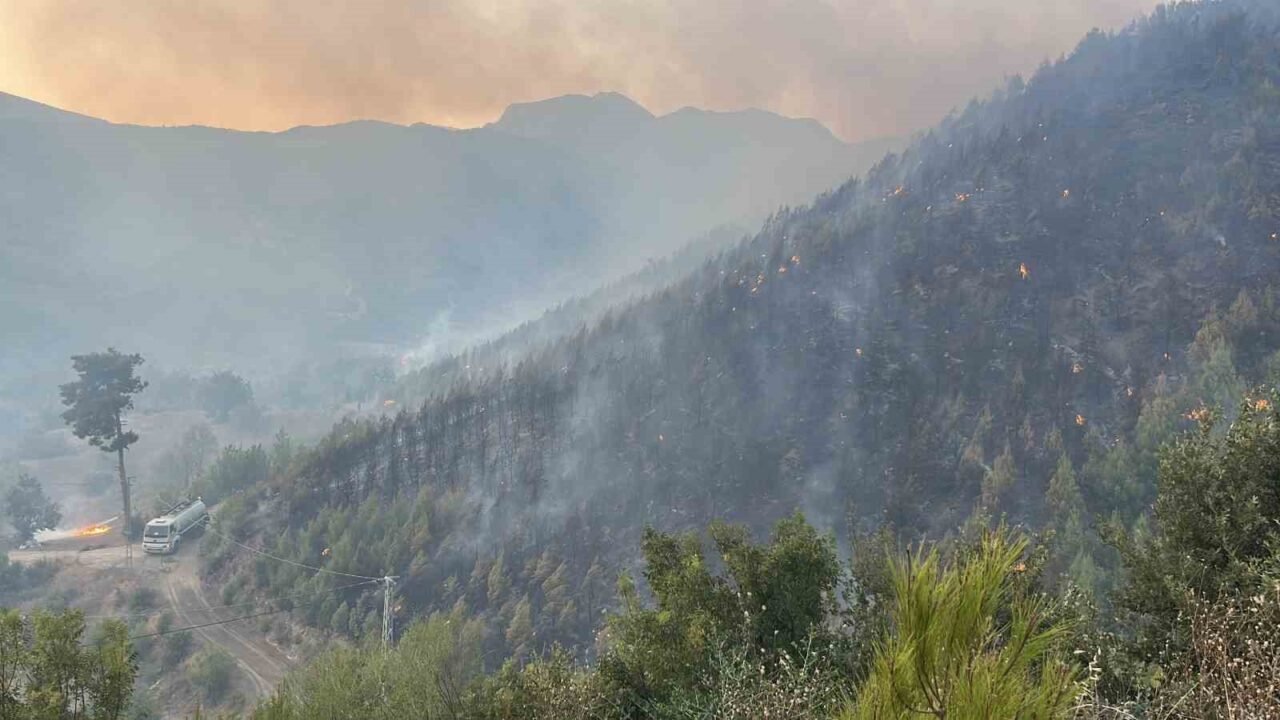 Alanya'daki yangına 95 araç ve 320 personelle müdehale