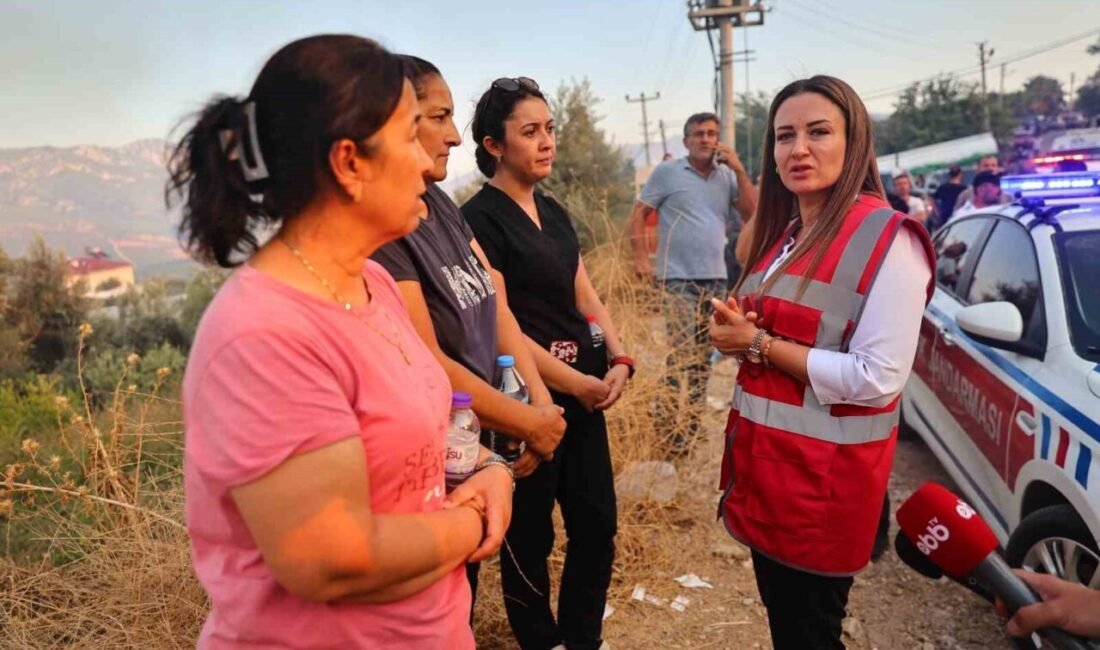 Antalya Büyükşehir Belediyesi, Kumluca, Kaş ve Alanya Sapadere’de çıkan orman