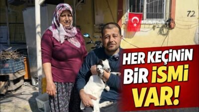 Serik kırsalında keçileriyle yaşayan üreticinin hikâyesi ve her keçiye ayrı